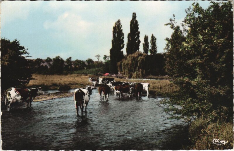 Carte postale ancienne La Normandie - Le Bain
