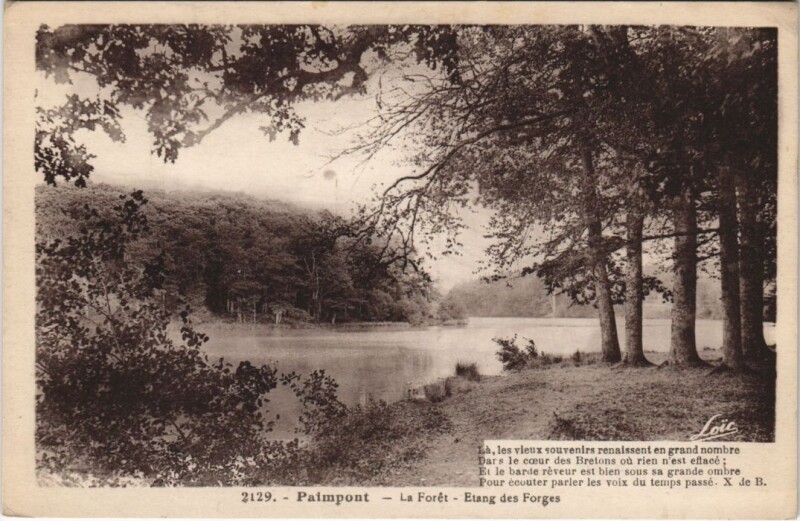 Carte postale ancienne Paimpont La Foret - Etang des Forges à Paimpont