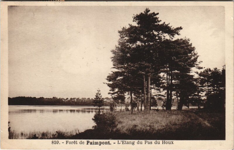 Carte postale ancienne Foret de Paimpont - L'Etang du Pas du Houx à Paimpont