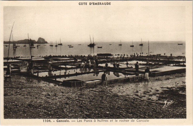 Carte postale ancienne Cancale Les Parcs a Huitres et le Rocher de Cancale à Cancale