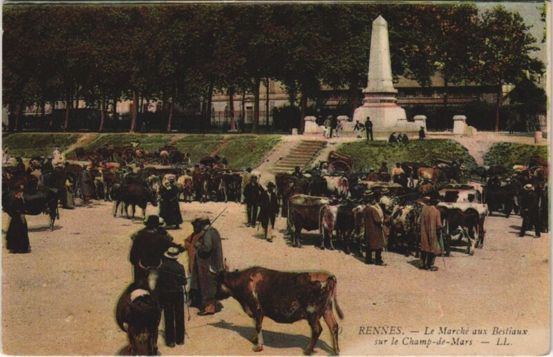 Carte postale ancienne Rennes Marche aux Bestiaux à Rennes