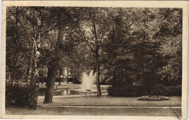 Carte postale ancienne Vichy Nouveau Parc, Bassin des Cygnes France à Vichy