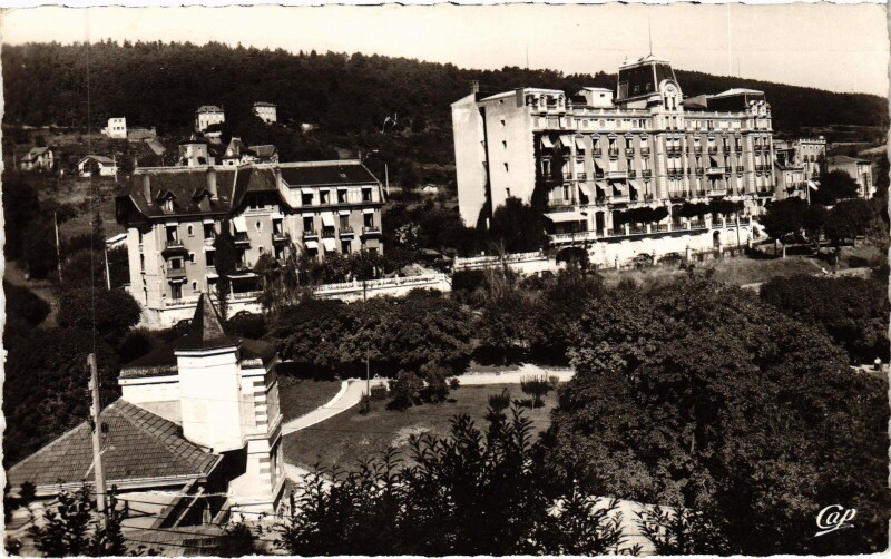 Carte postale ancienne Chatel-Guyon Hotel Excelsior et Residence du Parc