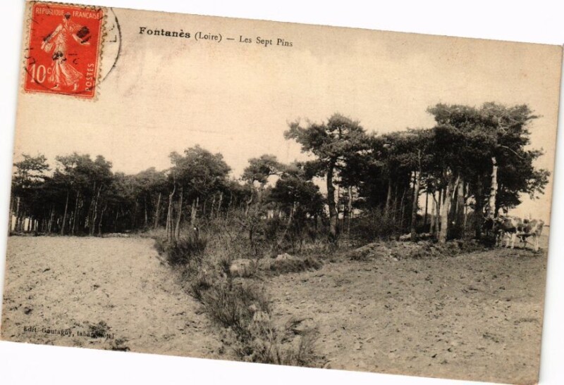 Carte postale ancienne Fontaine - Les Sept Pins