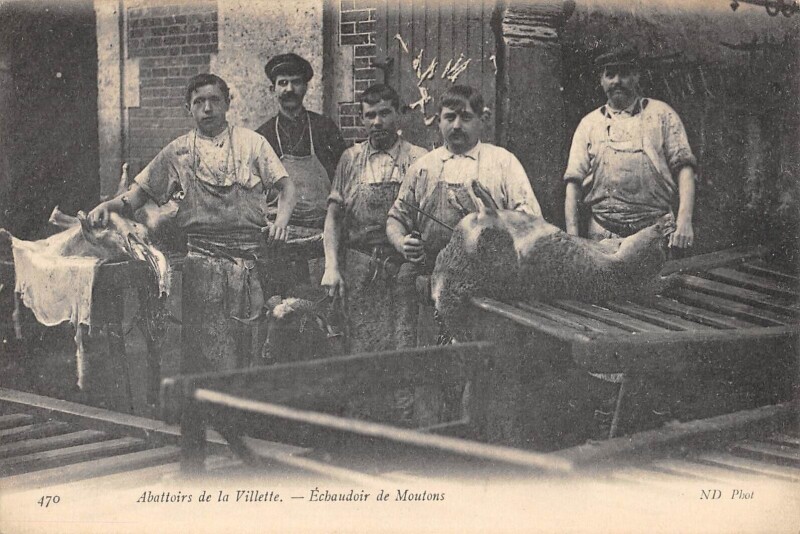 Carte postale ancienne Abattoirs de la Villette - Echaudoir de Moutons à Paris 19e