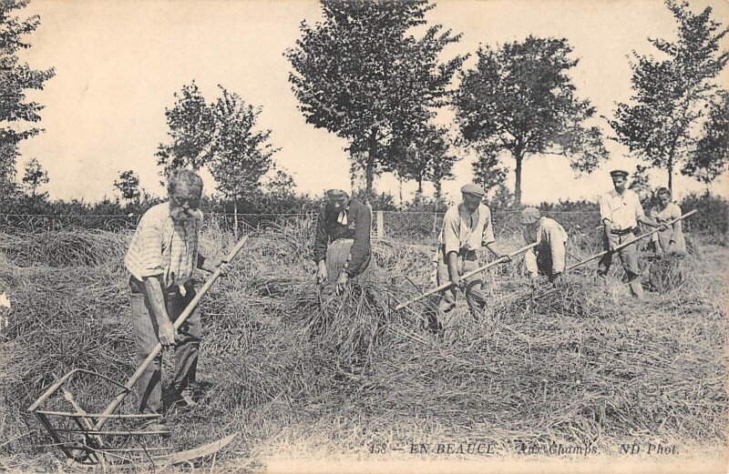 Carte postale ancienne En Beauce Aux Champs / Scene D'Agriculture