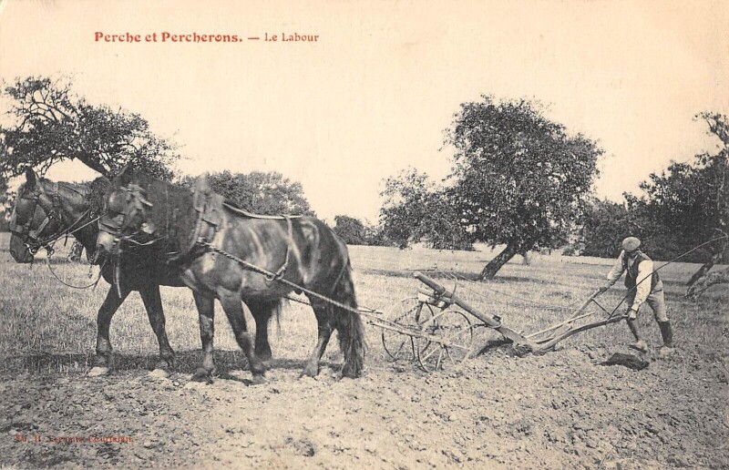 Carte postale ancienne Perche Et Percherons Le Labour / Scene D'Agriculture / Cheval