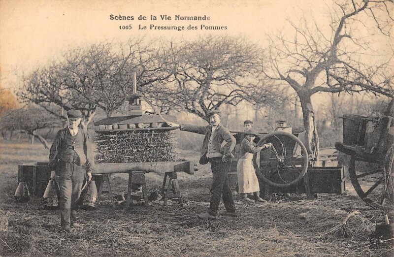 Carte postale ancienne Scenes De La Vie Normande Le Pressurage Des Pommes / Scene D'Agriculture