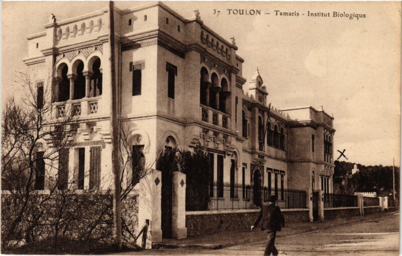 Carte postale ancienne Toulon - Tamaris à Toulon