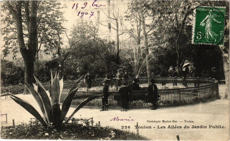 Carte postale ancienne Toulon Les Allées du Jardin Public à Toulon