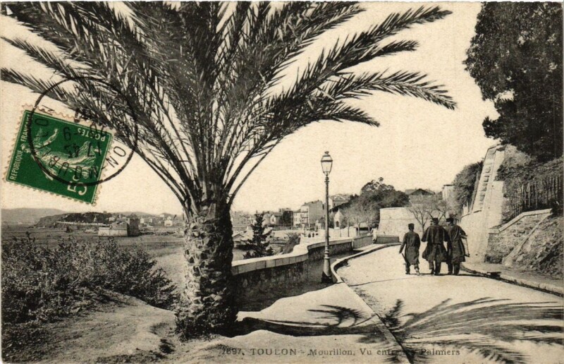 Carte postale ancienne Toulon Mourillon-Vu entre les Palmiers à Toulon