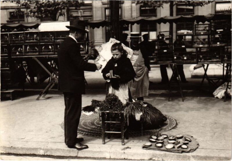 Carte postale ancienne Paris - Du mourron pour les petits oiseaux à Paris