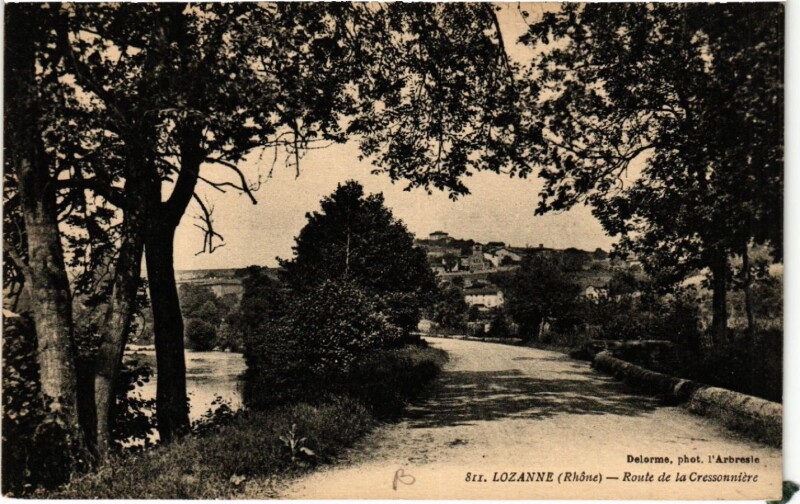 Carte postale ancienne Lozanne Route de la Cressonniere à Lozanne