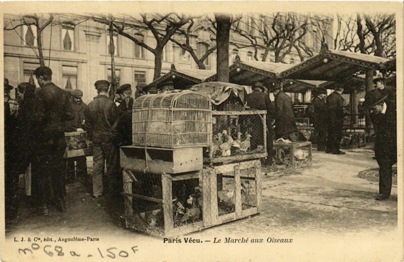 Carte postale ancienne Paris Vecu. Le Marche aux Oiseaux