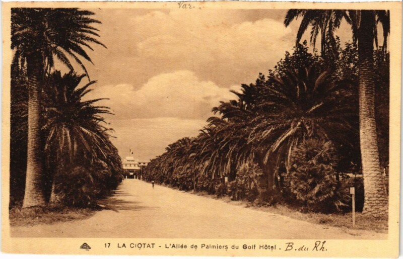 Carte postale ancienne La Ciotat L'Allee de Palmiers du Golf Hotel à La Ciotat