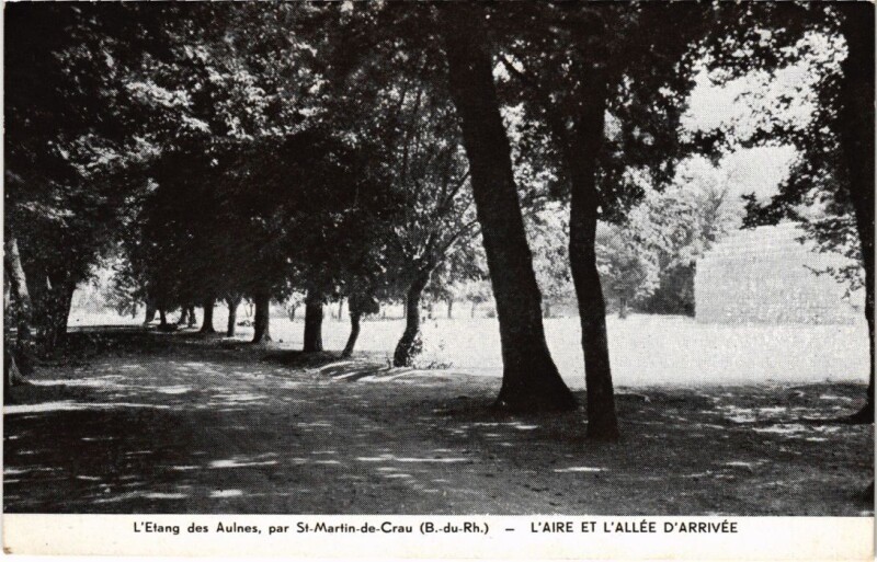 Carte postale ancienne Saint-Martin-de-Crau Etang des Aulnes - Laire et Allee d'Arrivee à Saint-Martin-de-Crau