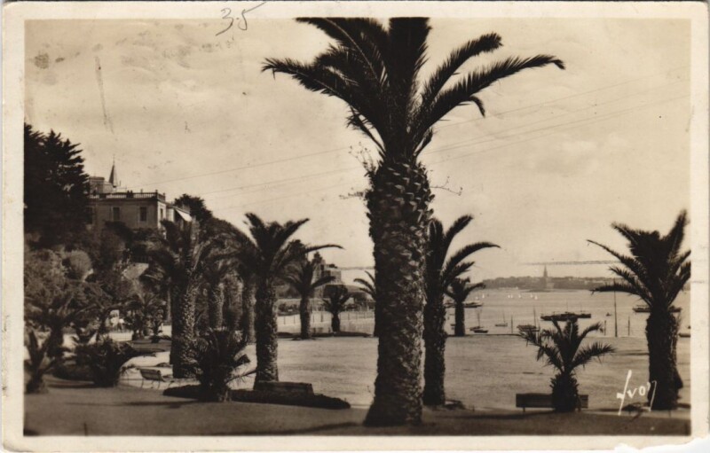 Carte postale ancienne Dinard Square des Palmiers à Dinard