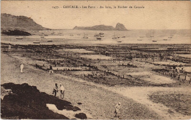 Carte postale ancienne Cancale Les Parcs à Cancale