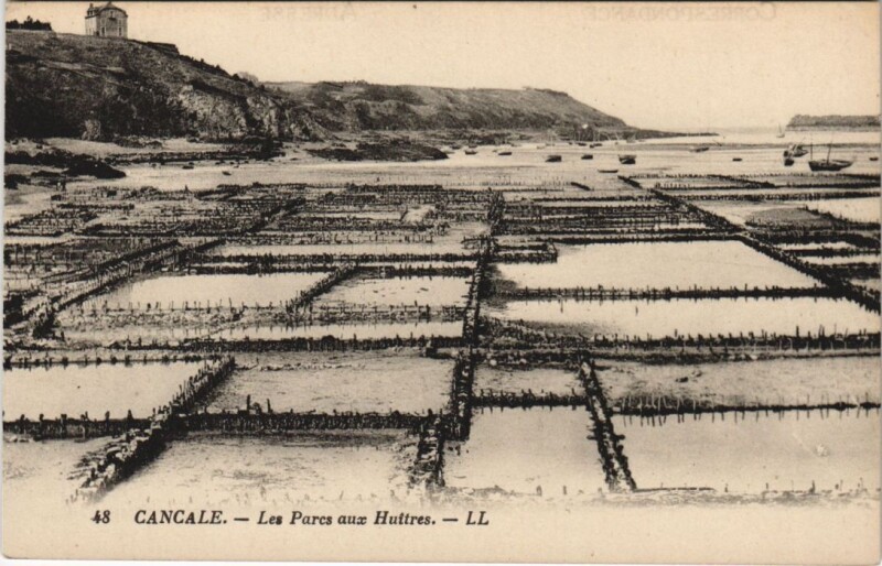 Carte postale ancienne Cancale Les Parcs aux Huitres à Cancale