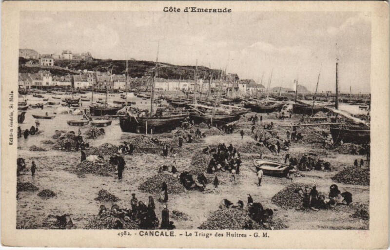 Carte postale ancienne Cancale Le Triage des huitres à Cancale