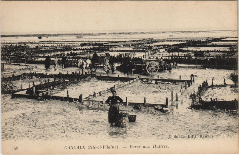 Carte postale ancienne Cancale Parcs aux Huitres à Cancale