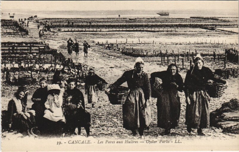 Carte postale ancienne Cancale Les Parcs aux Huitres à Cancale