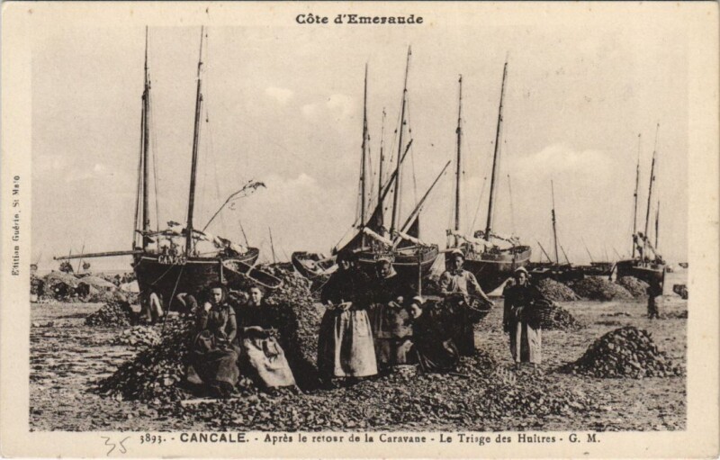 Carte postale ancienne Cancale Triage des Huitres à Cancale