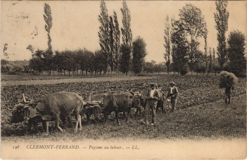 Carte postale ancienne Clermont Ferrand Paysans au labour à Clermont-Ferrand
