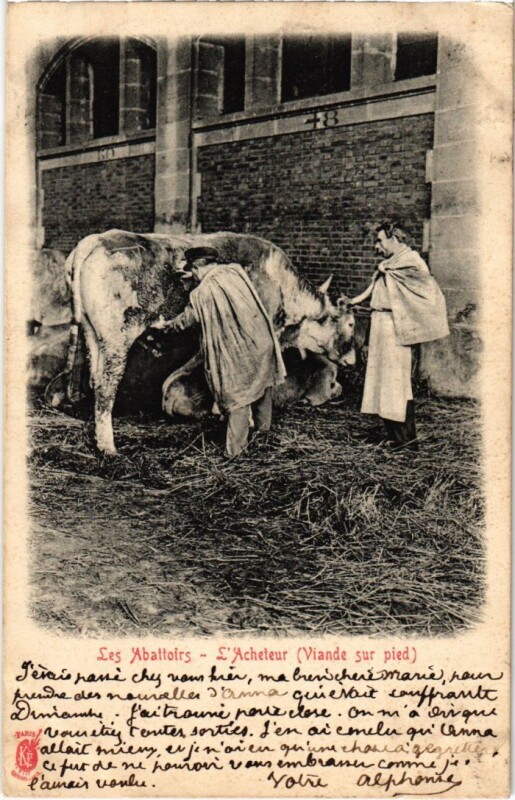 Carte postale ancienne Paris Petits Metiers Les Abattoirs l'Acheteur viande sur pied