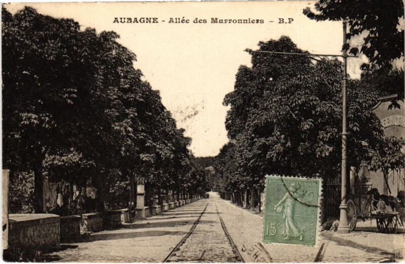 Carte postale ancienne Aubagne Allee des Marronniers à Aubagne