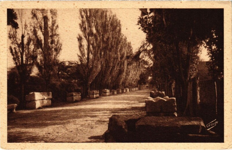 Carte postale ancienne Arles Les Alyscamps - Allee des Tombeaux à Arles