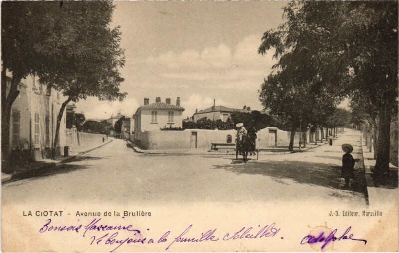 Carte postale ancienne La Ciotat Avenue de la Bruliere à La Ciotat