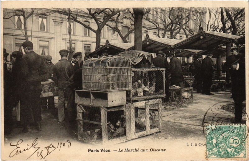 Carte postale ancienne Paris Vecu. Le Marche aux Oiseaux