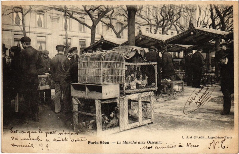 Carte postale ancienne Paris Vecu. Le Marche aux Oiseaux