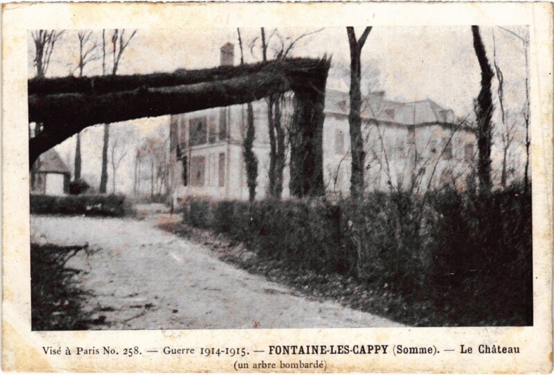 Carte postale ancienne Fontaine-les-Cappy Le Chateau - Un Arbre Bombarde à Cappy