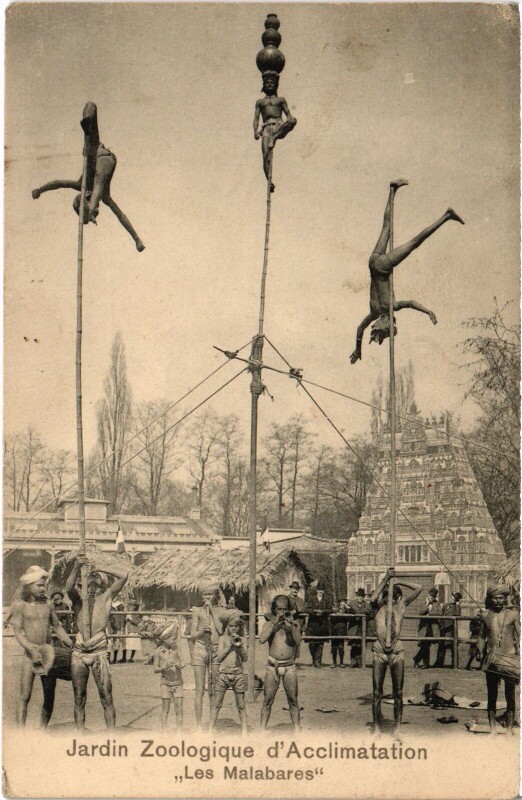 Carte postale ancienne Jardin Zoologique d'Acclimatation - Les Malabares à Neuilly-sur-Seine