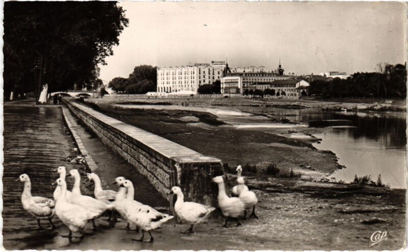 Carte postale ancienne Dax Les bords de l'Adour