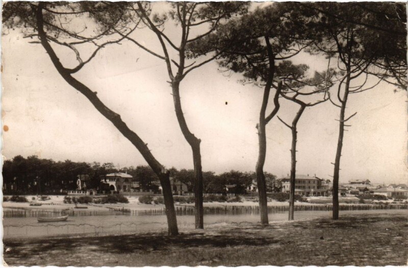Carte postale ancienne Mimizan les Bains vue sur la Ville d'Hiver à Mimizan