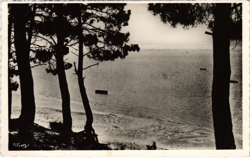 Carte postale ancienne Mimizan les Bains un coin de l'Etang d'Aureillan à Mimizan