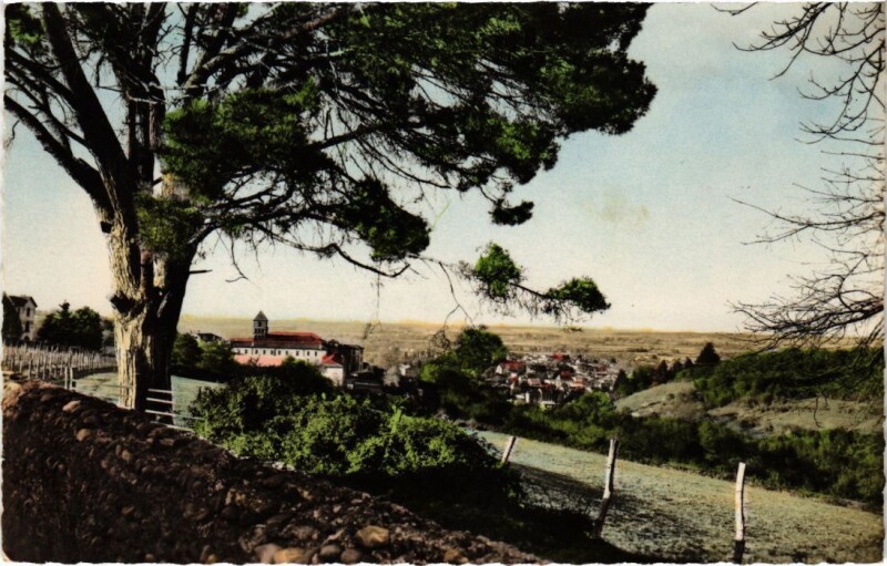 Carte postale ancienne Aire sur Adour vue panoramique