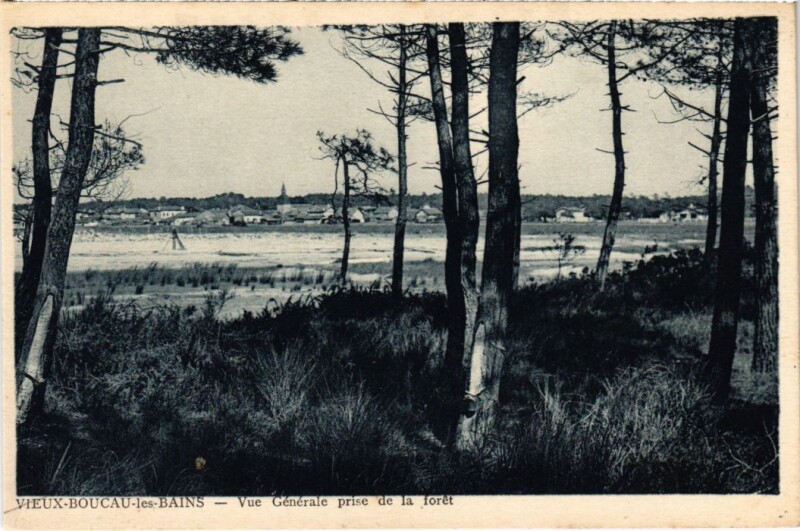 Carte postale ancienne Boucau les Bains vue generale de la foret