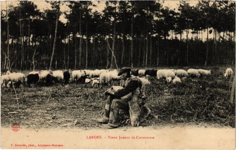 Carte postale ancienne Landes Vieux Joueur de Cornemuse France