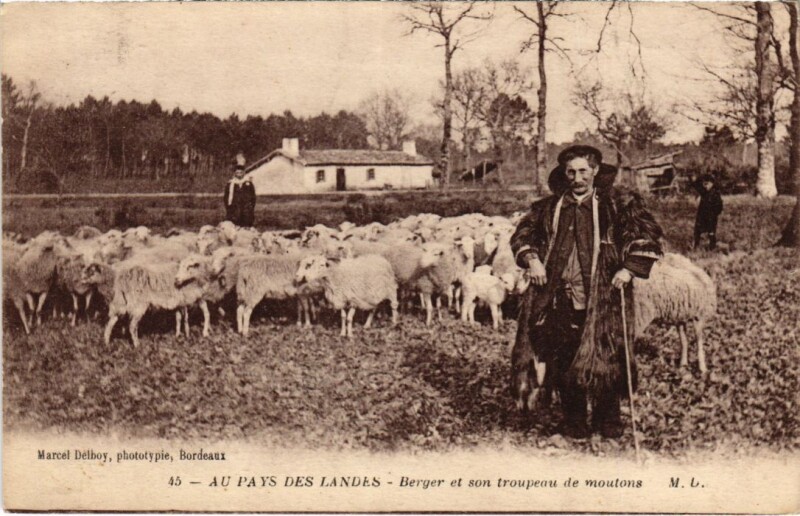 Carte postale ancienne Au Pays des Landes Berger et son troupeau France