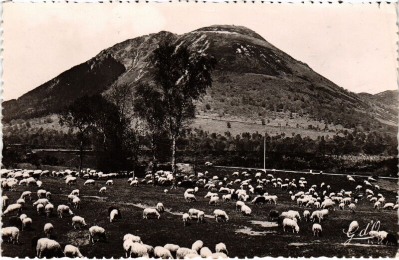 Carte postale ancienne L'Auvergne Paturages au pied du Puy-de-Dome France