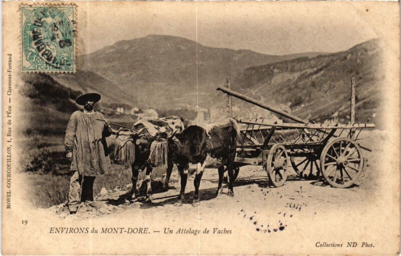 Carte postale ancienne Environs du Mont-Dore Un Attelage de Vaches France à Mont-Dore