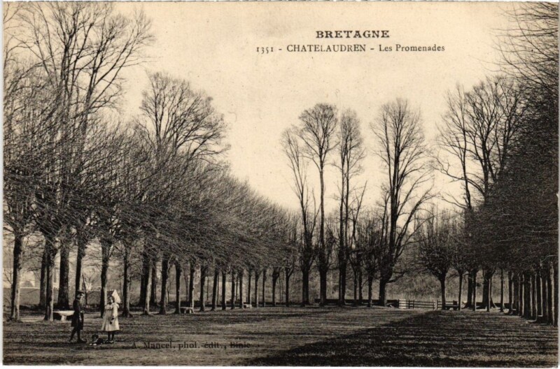 Carte postale ancienne Chatelaudren Les Promenades