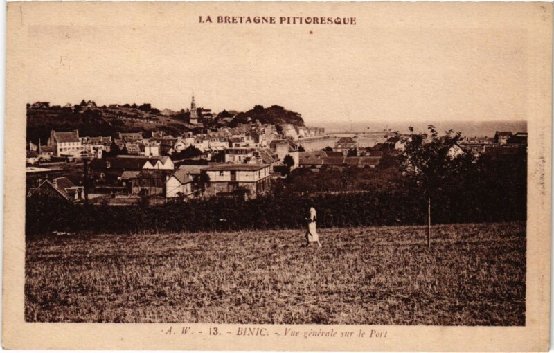 Carte postale ancienne Binic Vue Generale sur le Port