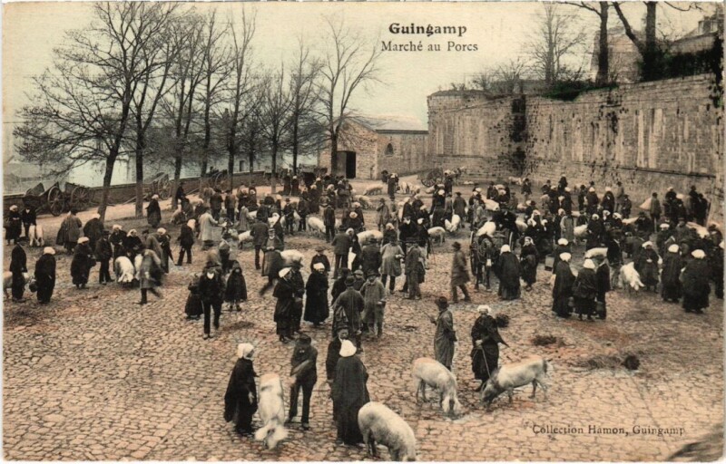 Carte postale ancienne Guingamp Marche au Porcs à Guingamp