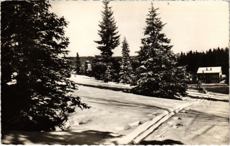 Carte postale ancienne Les Rousses sur la Route Blanche aux Rousses