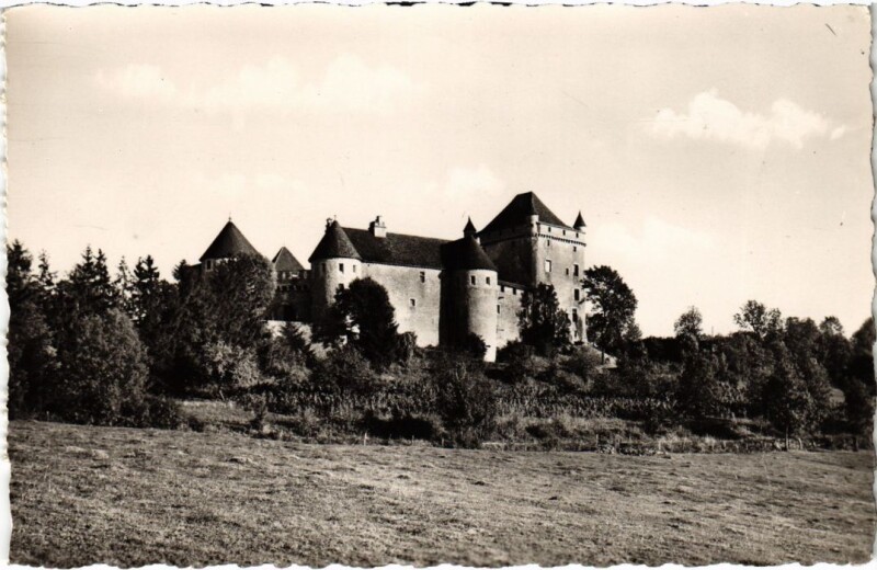 Carte postale ancienne Chateau du Pin